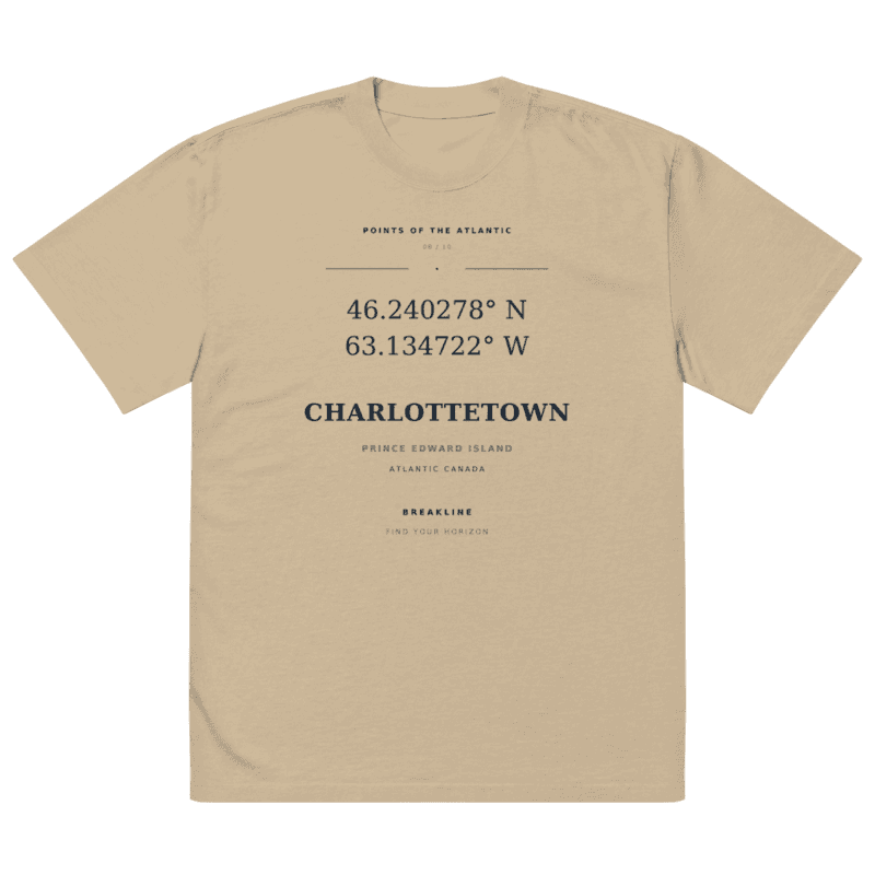 Charlottetown Oversized faded t-shirt - photo 1