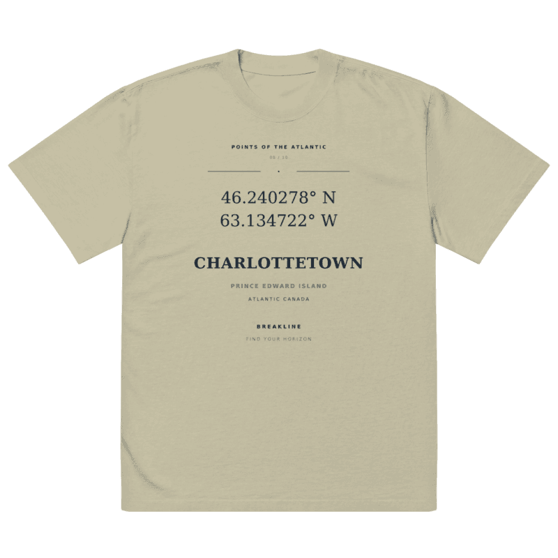 Charlottetown Oversized faded t-shirt - photo 3