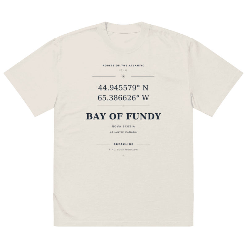 Bay of Fundy Oversized faded t-shirt - photo 3