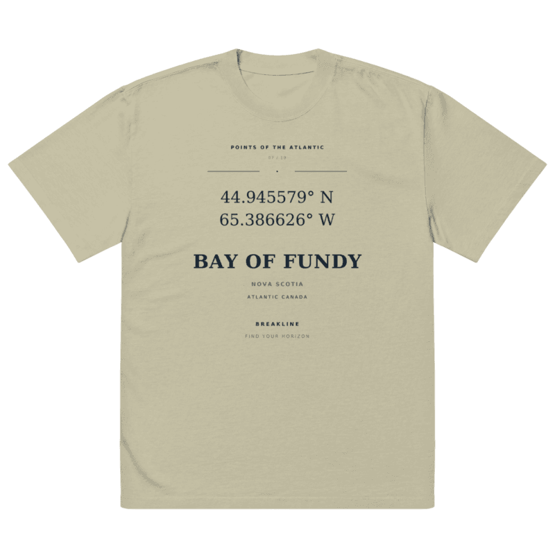 Bay of Fundy Oversized faded t-shirt - photo 2