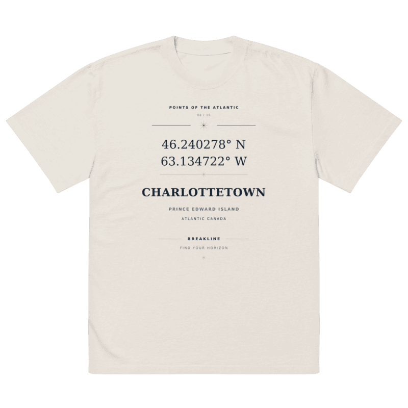 Charlottetown Oversized faded t-shirt - photo 4
